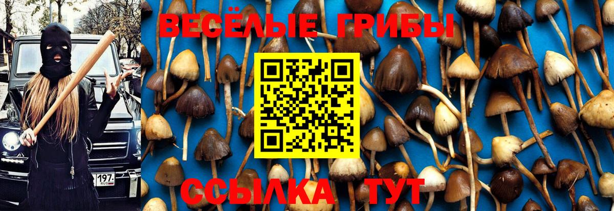 Псилоцибиновые грибы прущие грибы  Вход с VPN  Галлюциногенные грибы мухоморы  Подольск 